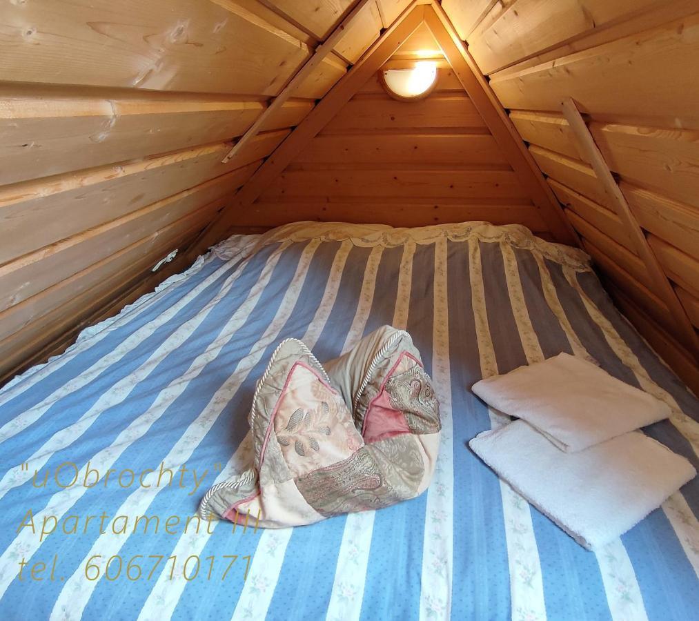 U Obrochty Apartment ซาโกปาเน ภายนอก รูปภาพ